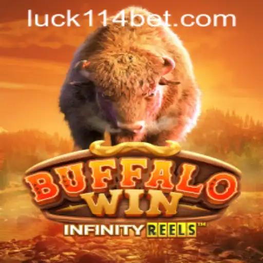 114bet PH Login About Us